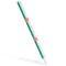 Algeria Flag Distressed Apple Pencil (2nd Gen 2019) Skin